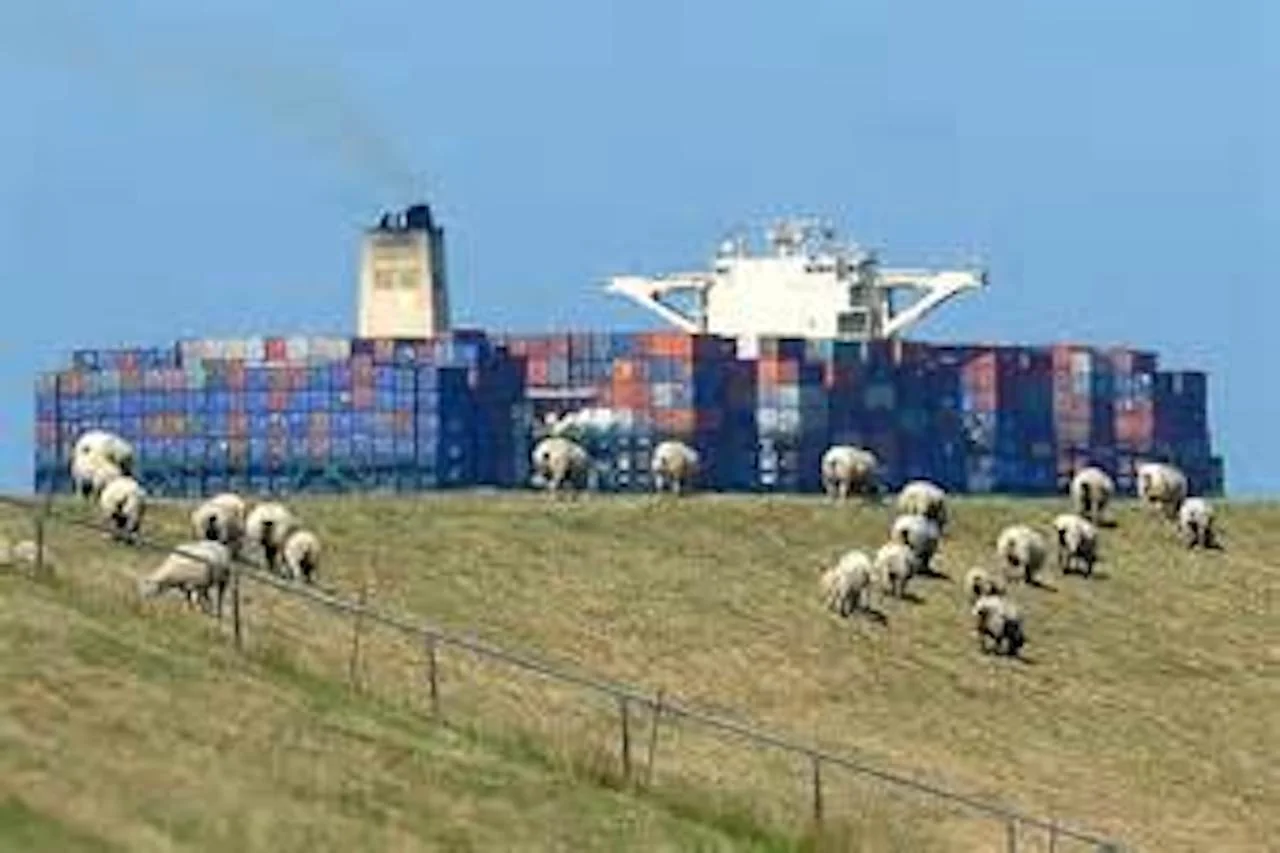 Tide und Elbvertiefung 
