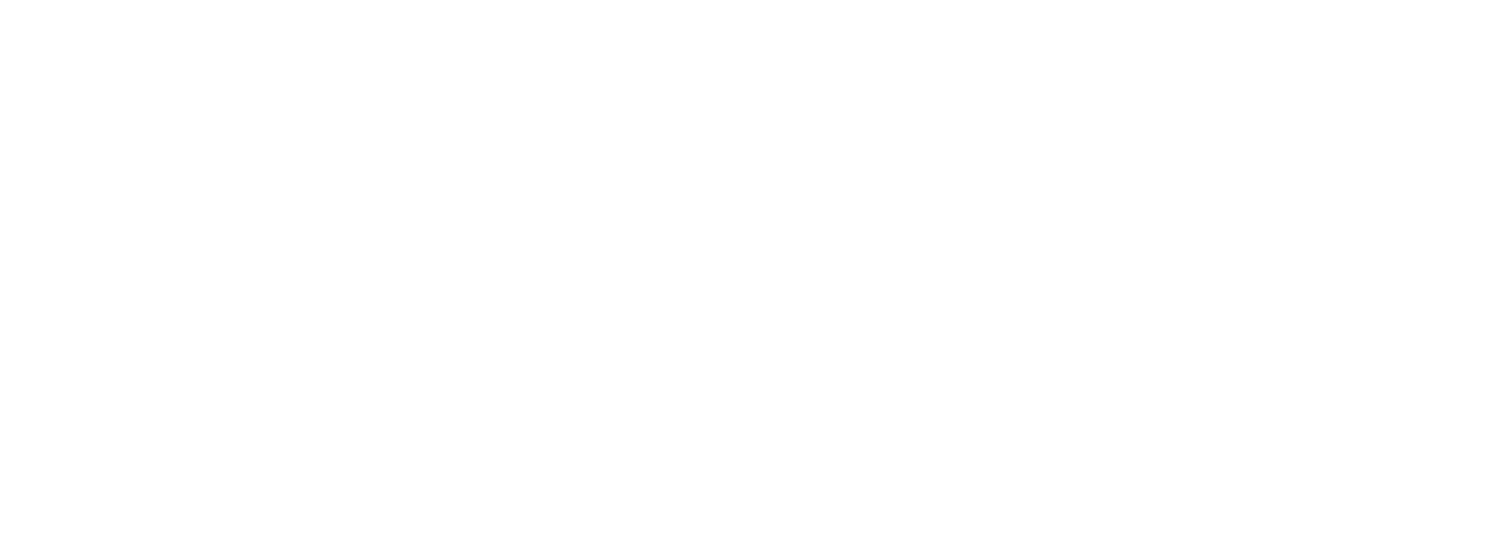 Nicole Brachetti Peretti Collection