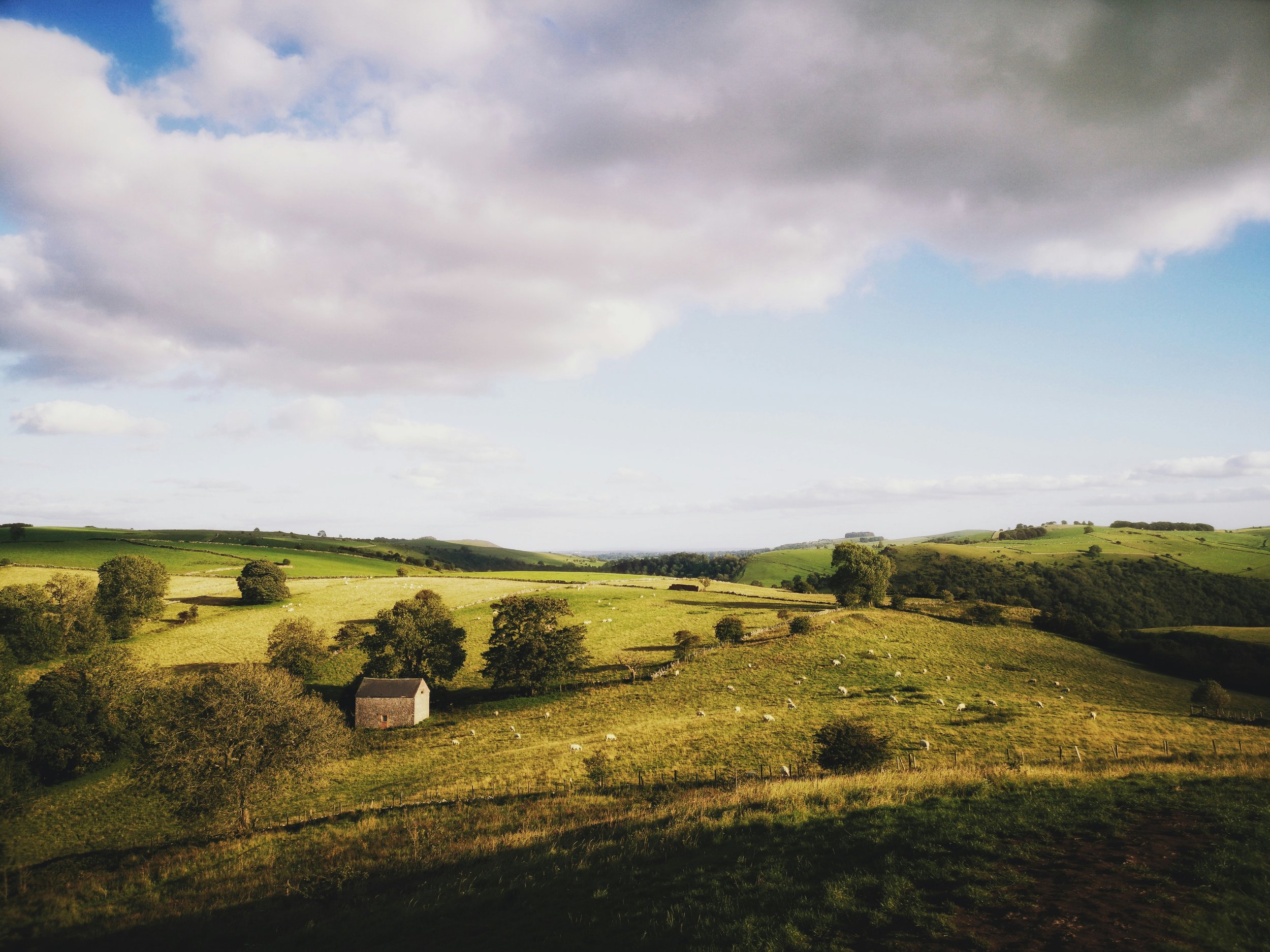 moorland.jpg