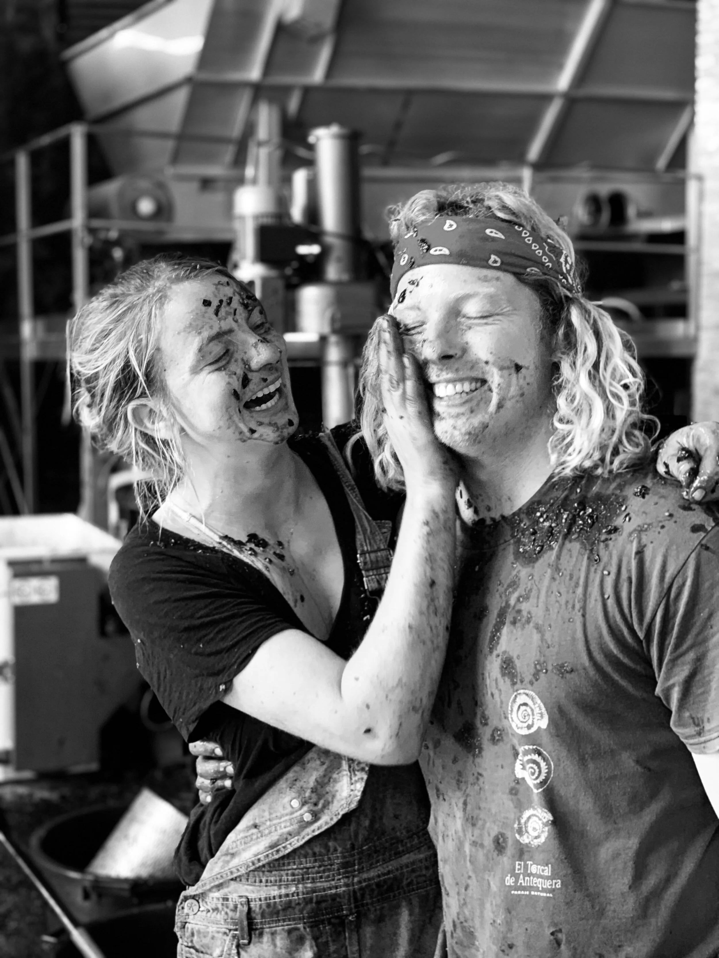 Vinyes Tortuga, Alt Empordà ES