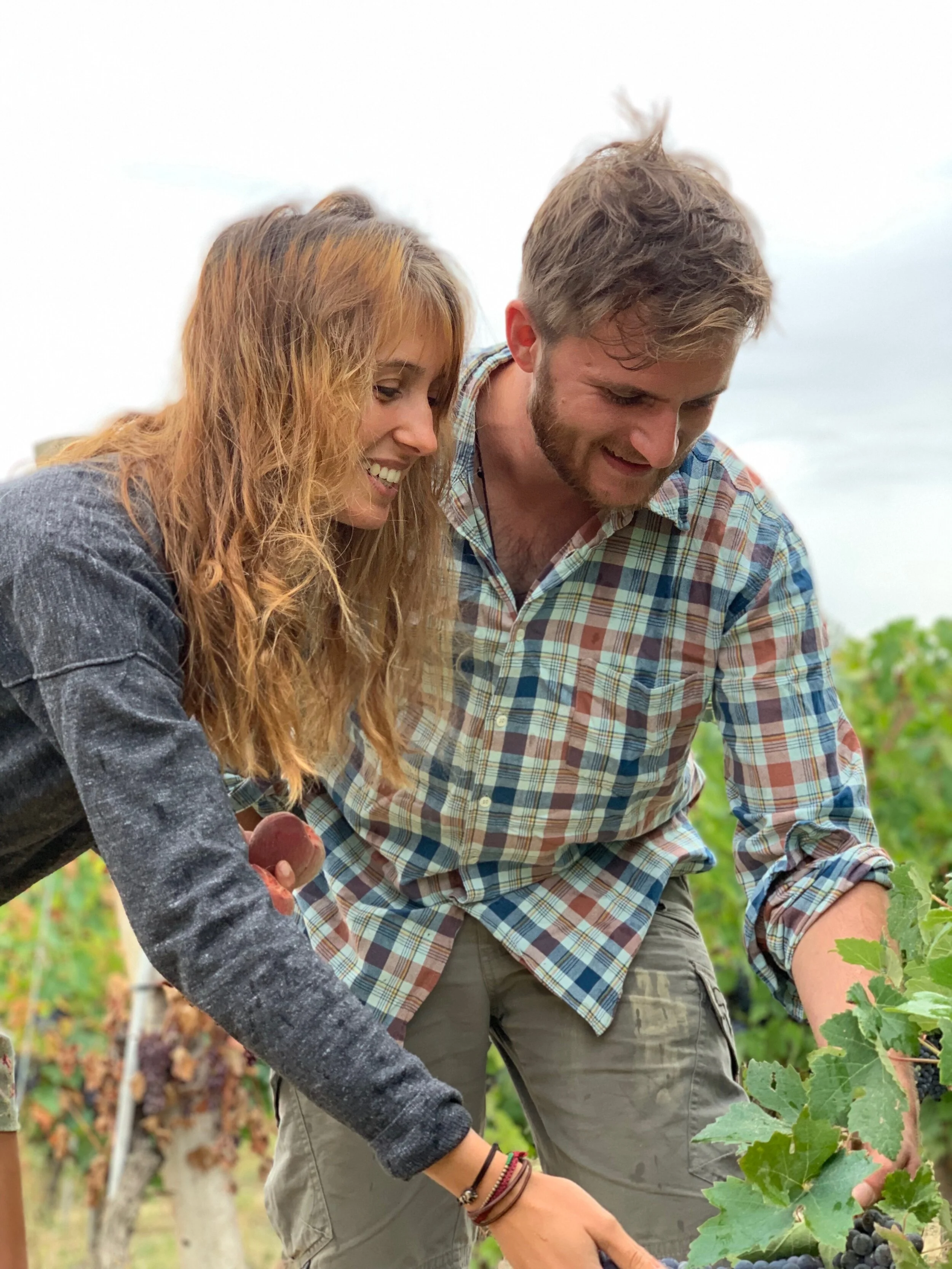 Tenuta Foresto, Piedmonte IT