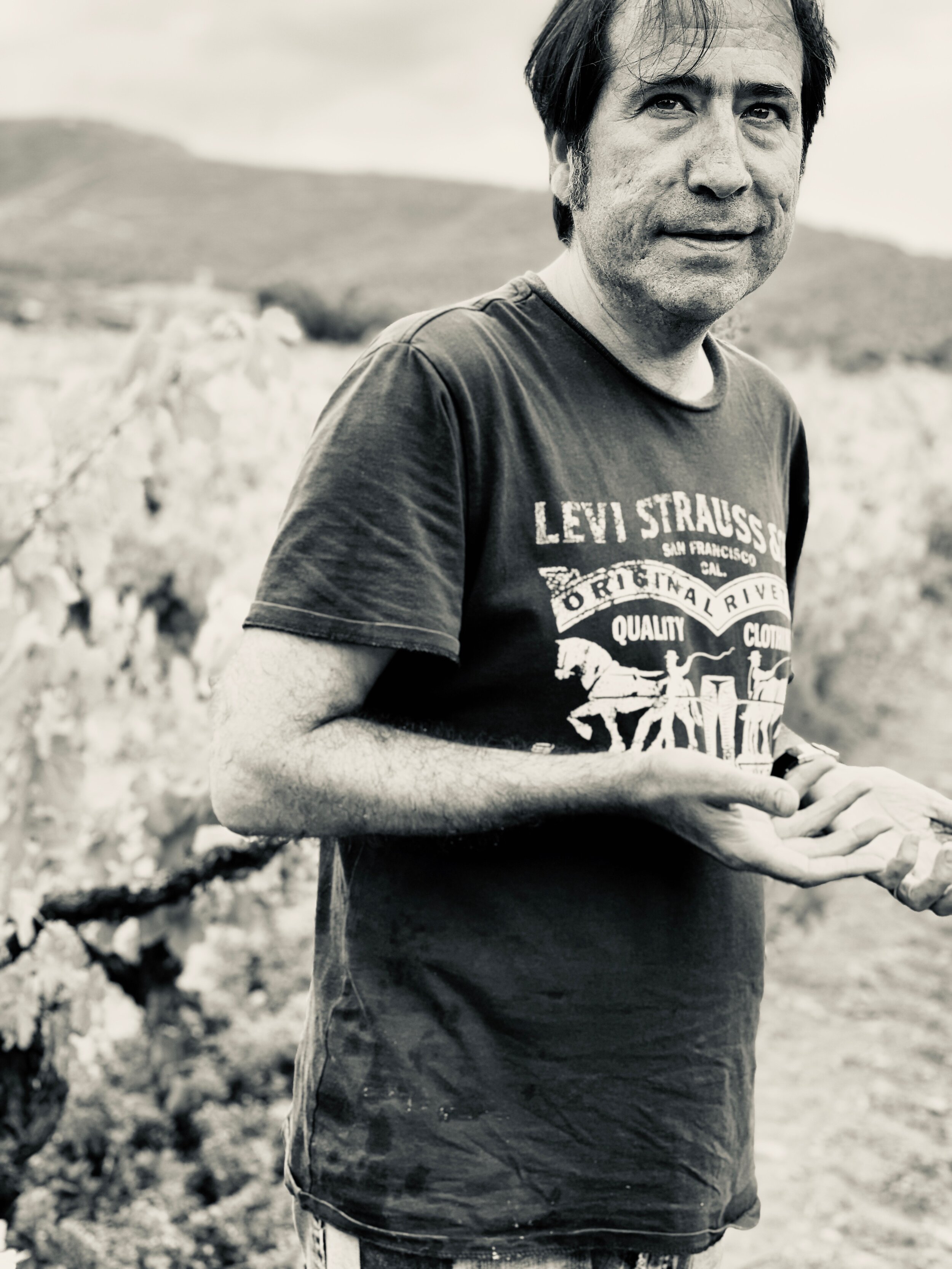 Costador Terroirs, Tarragona ES