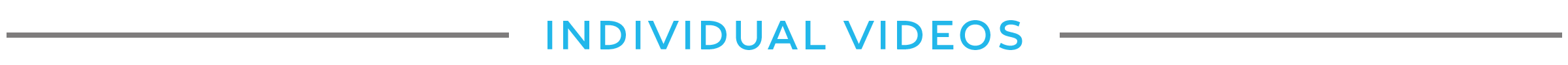 individual 2.png