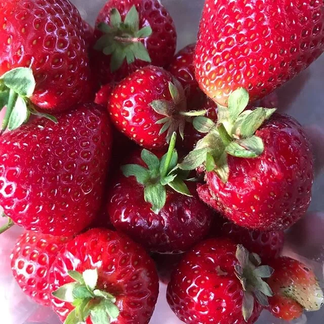 First pint of strawberries. Beauty is all around! #sweetpeas #borage #strawberries #snowpeas #southkitsap #pnwsmallfarms #slowfoodmovement