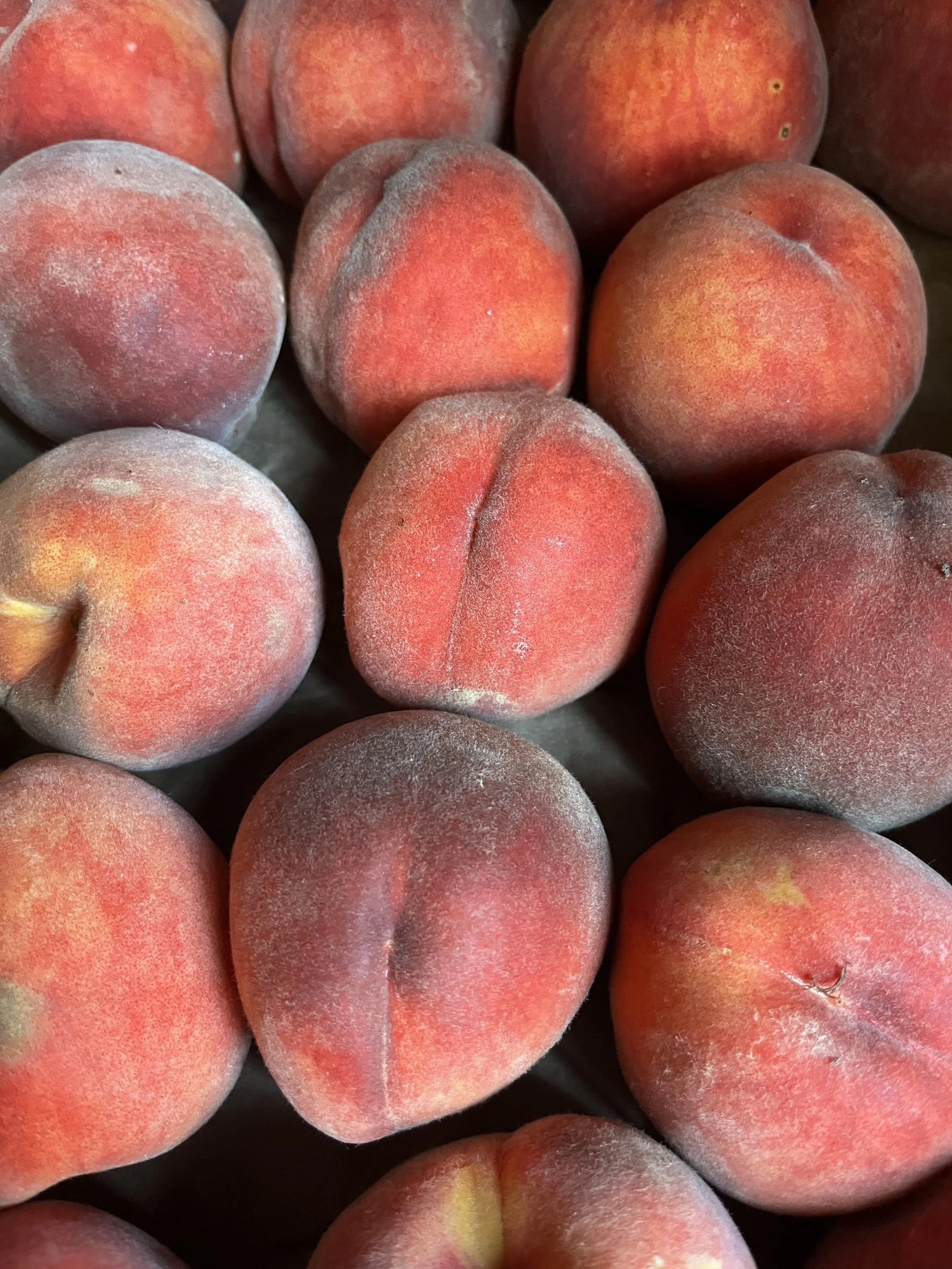 Peach, Freestone