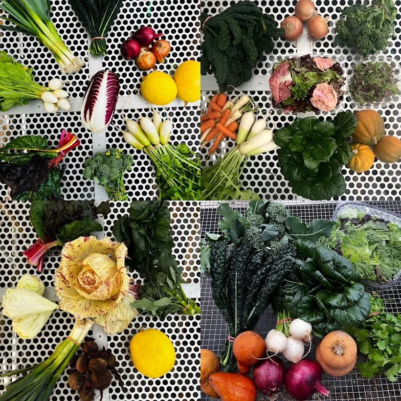 The Late Harvest