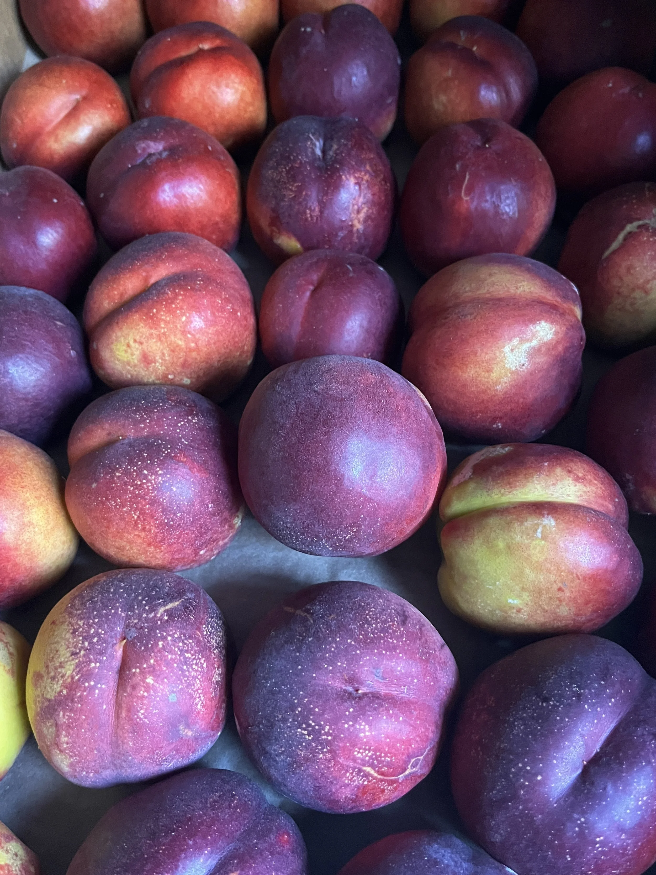 Nectarine, Yellow