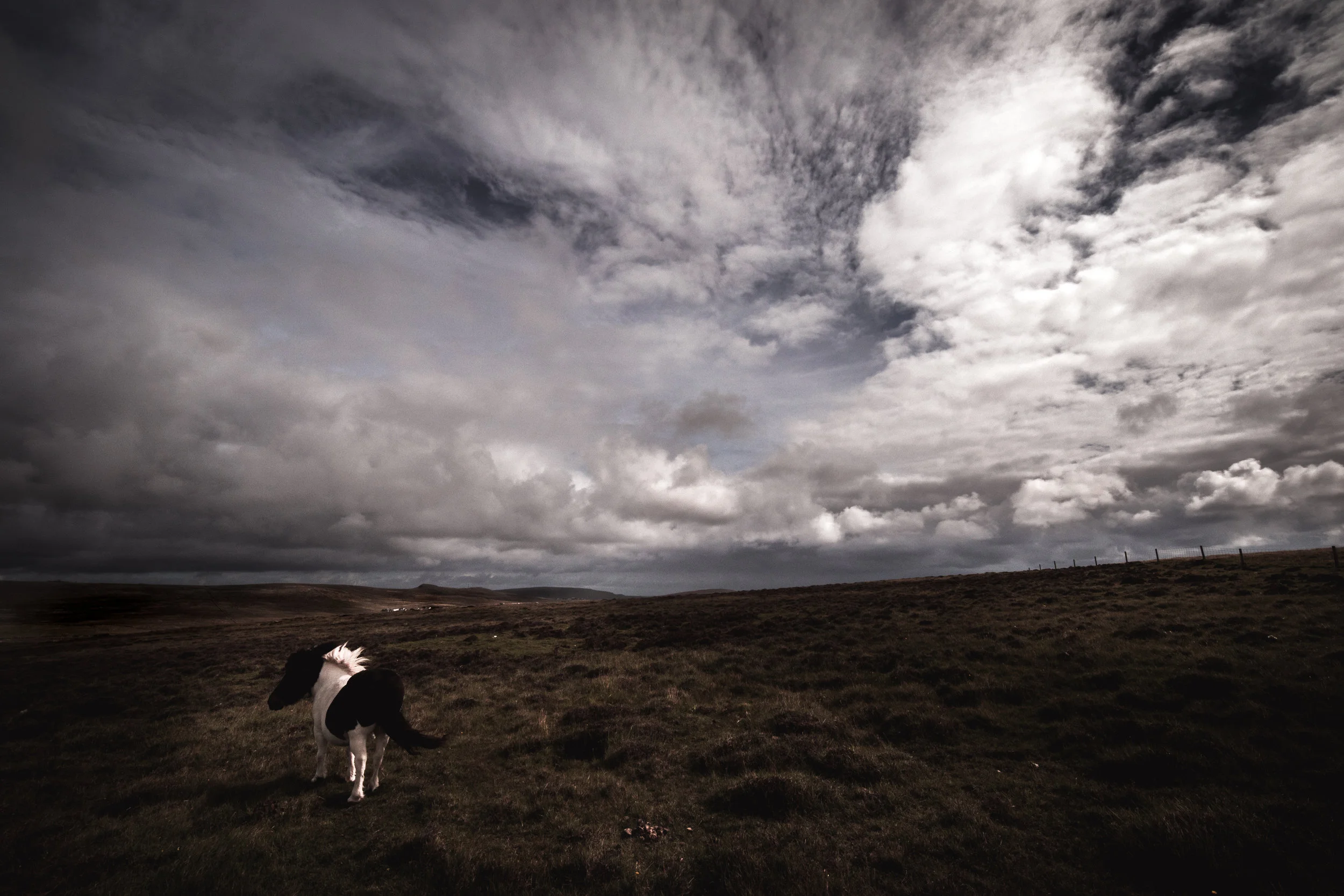 Spirit of Shetland
