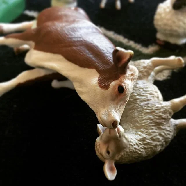 Things are getting weird with the quarantine #quarantine #corona #coronavirus #whenkidsaregreat #remedybydesign #blacksheepgerontologist