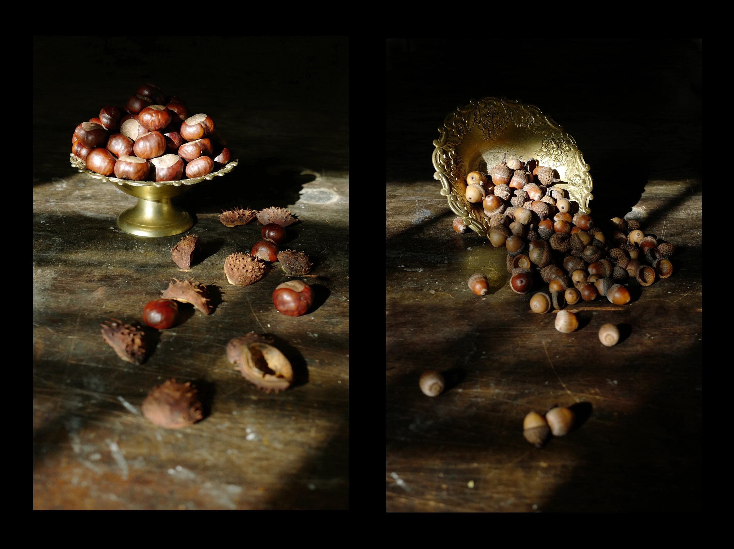 Chestnuts &amp; Acorns