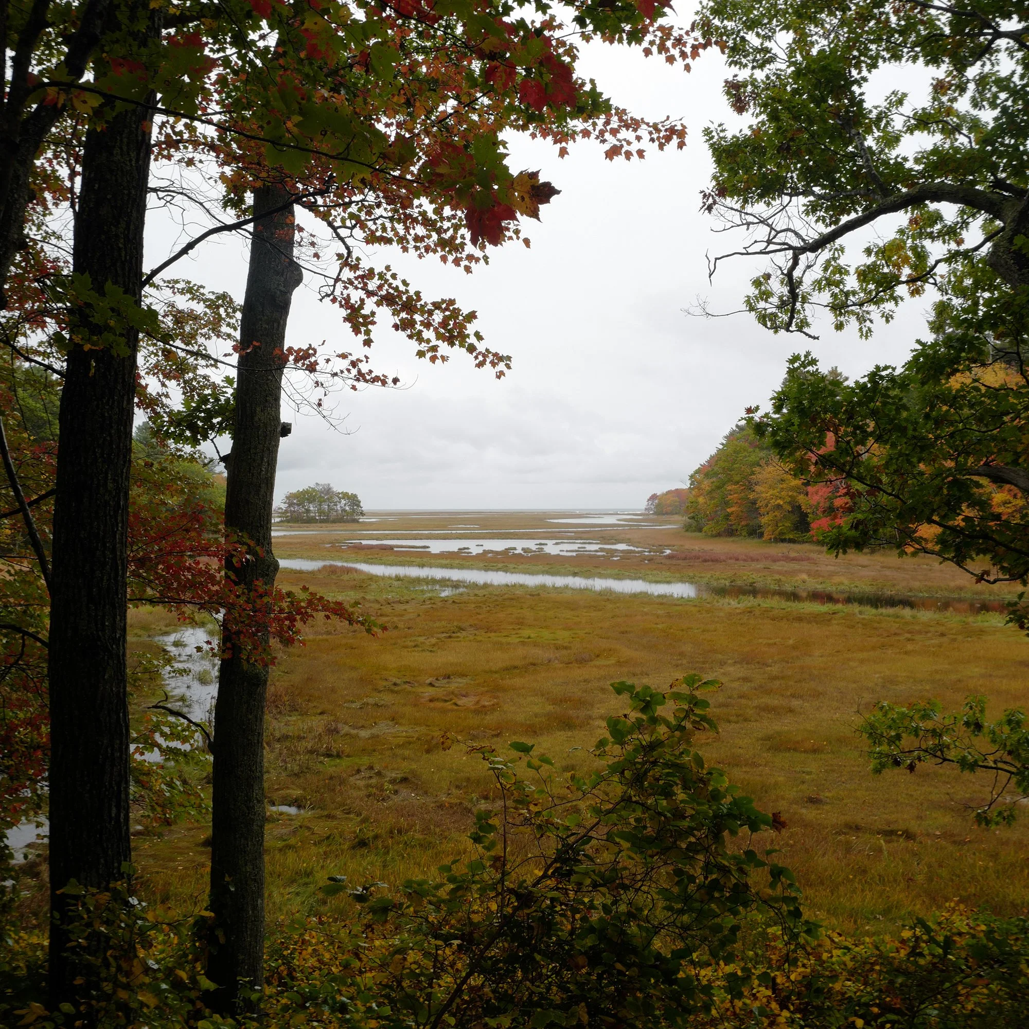 L1020927 - Cropped 3 - 2000 on Vertical.jpg