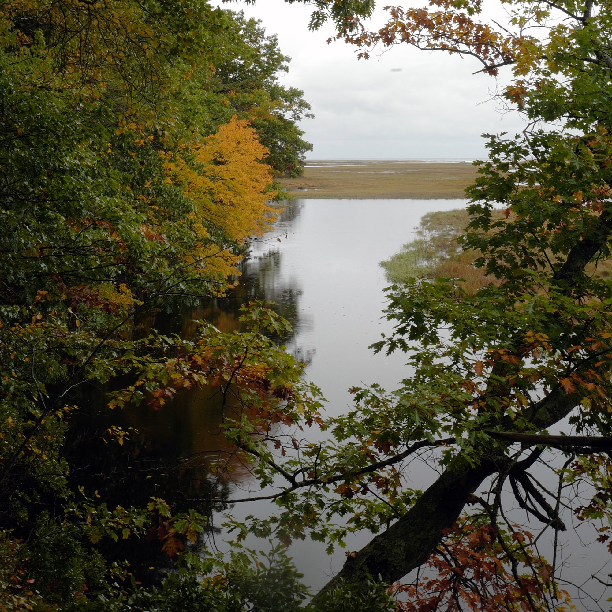 L1020941 - Cropped 1 - 2000 on Vetical.jpg