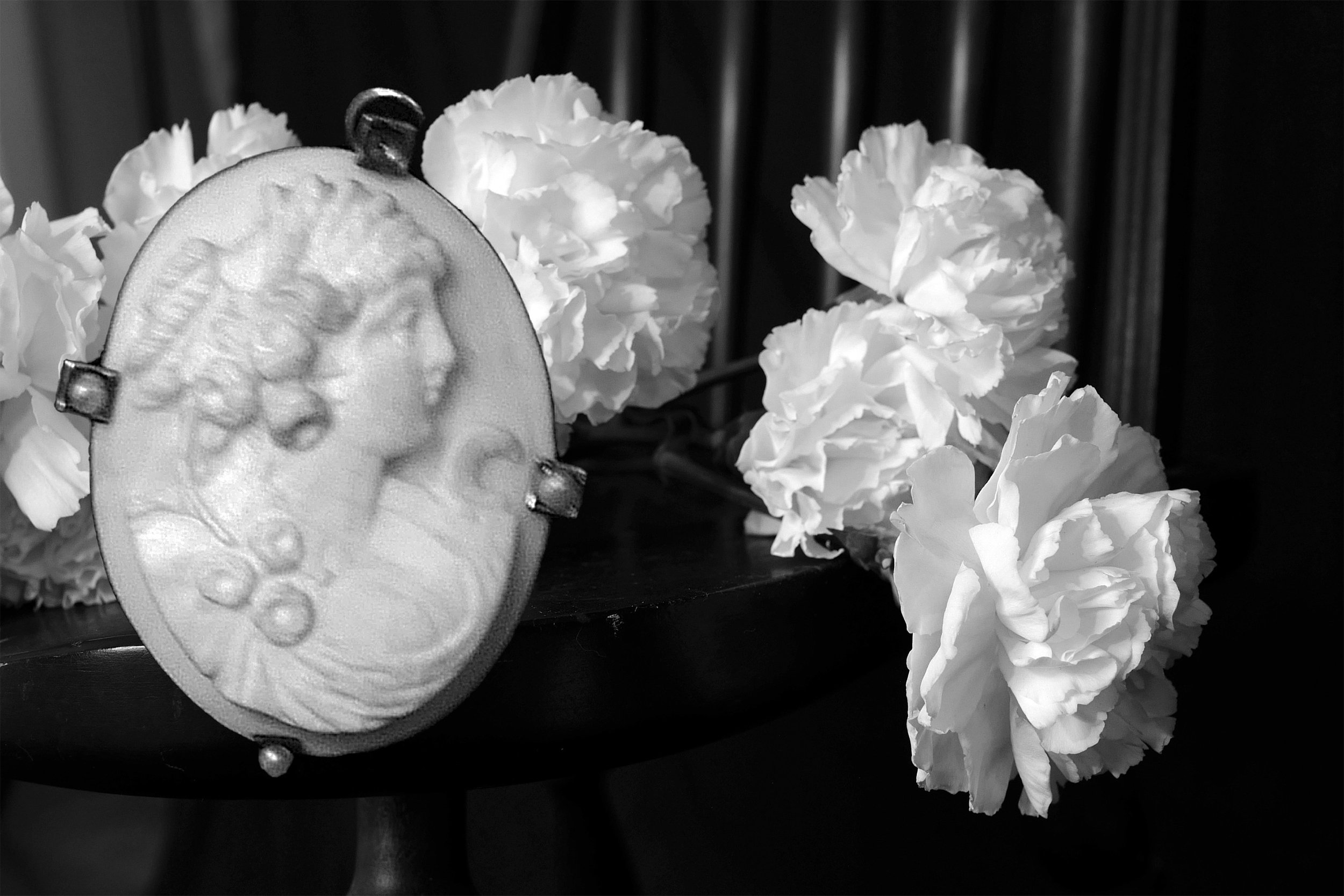 L1000921 - Brooch & Carnations 2.jpg
