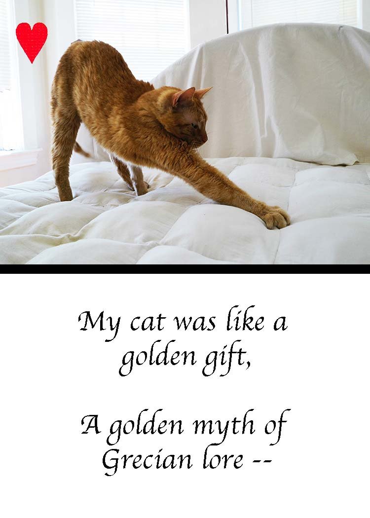 The Golden Cat by Eleanor Farjeon