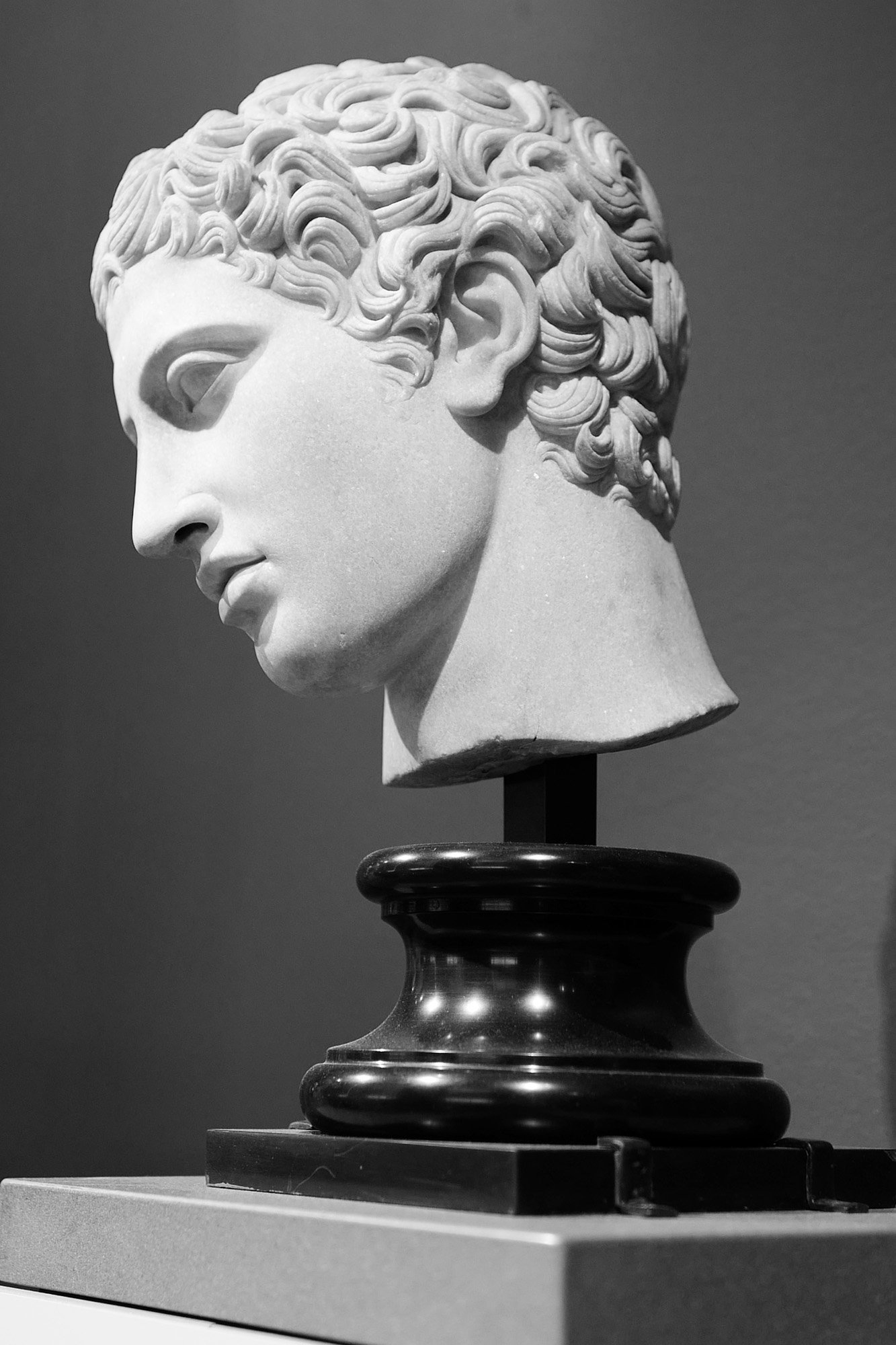 Head of a Youthful God (Roman)