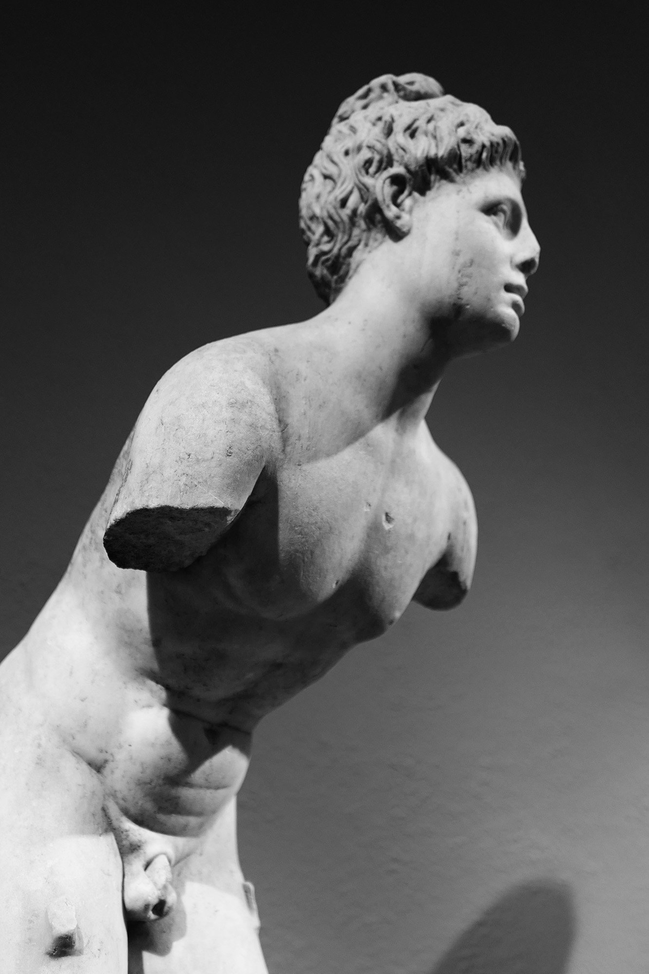 Youthful Athlete (possibly Apollo)(Roman)