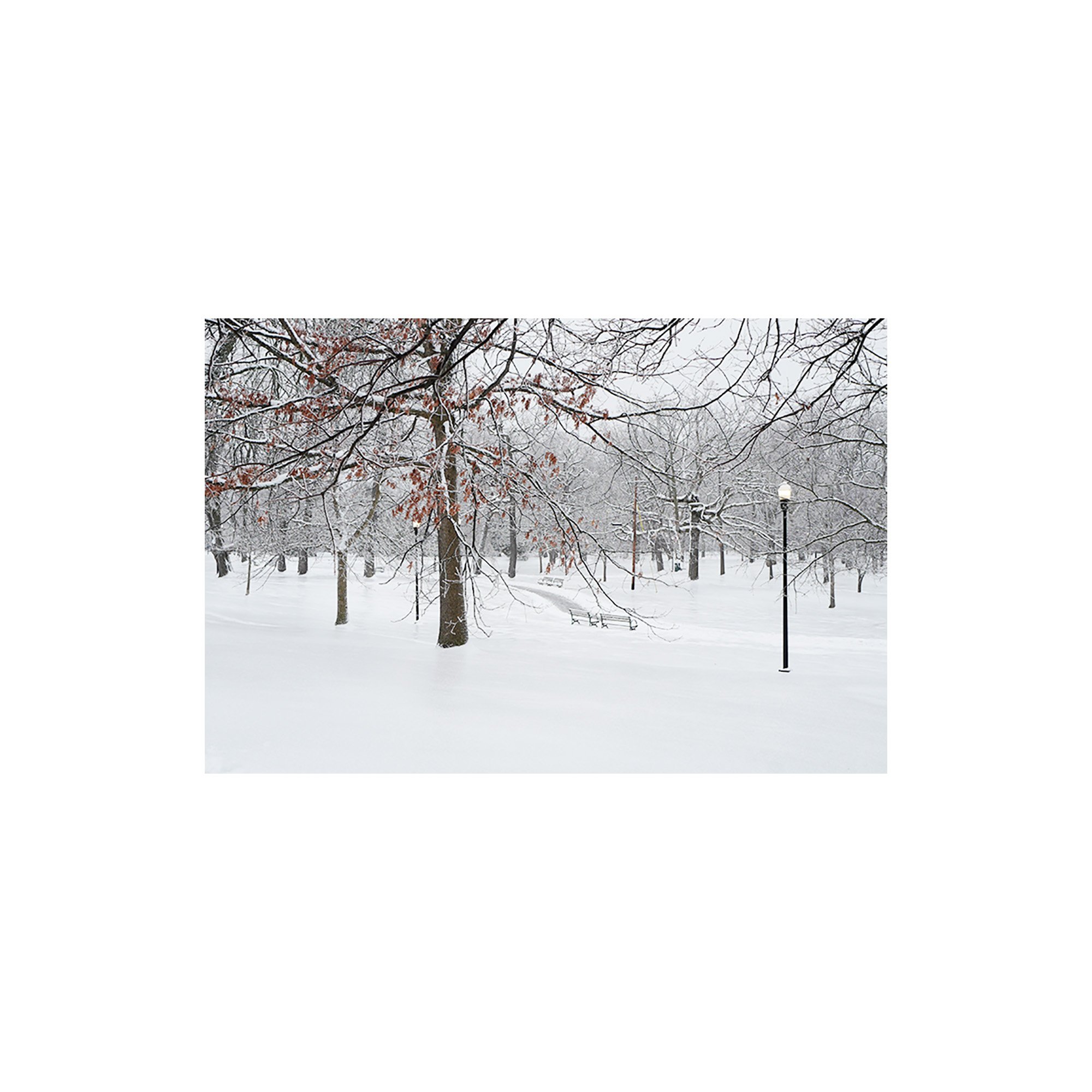 Untitled-1 - Fall_Winter - Brightness 100 - 6 copy.jpg