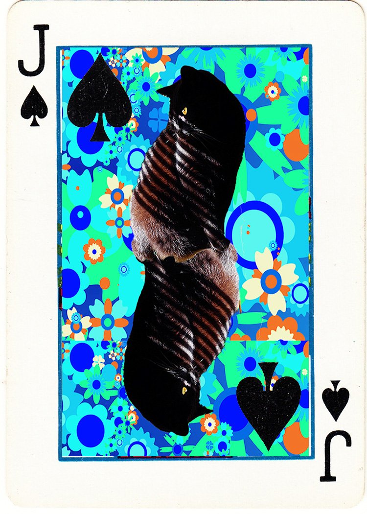 1 Jack of Spades for Shadowplay card - Dodged both eyes 22 times - IMG_0003.jpg