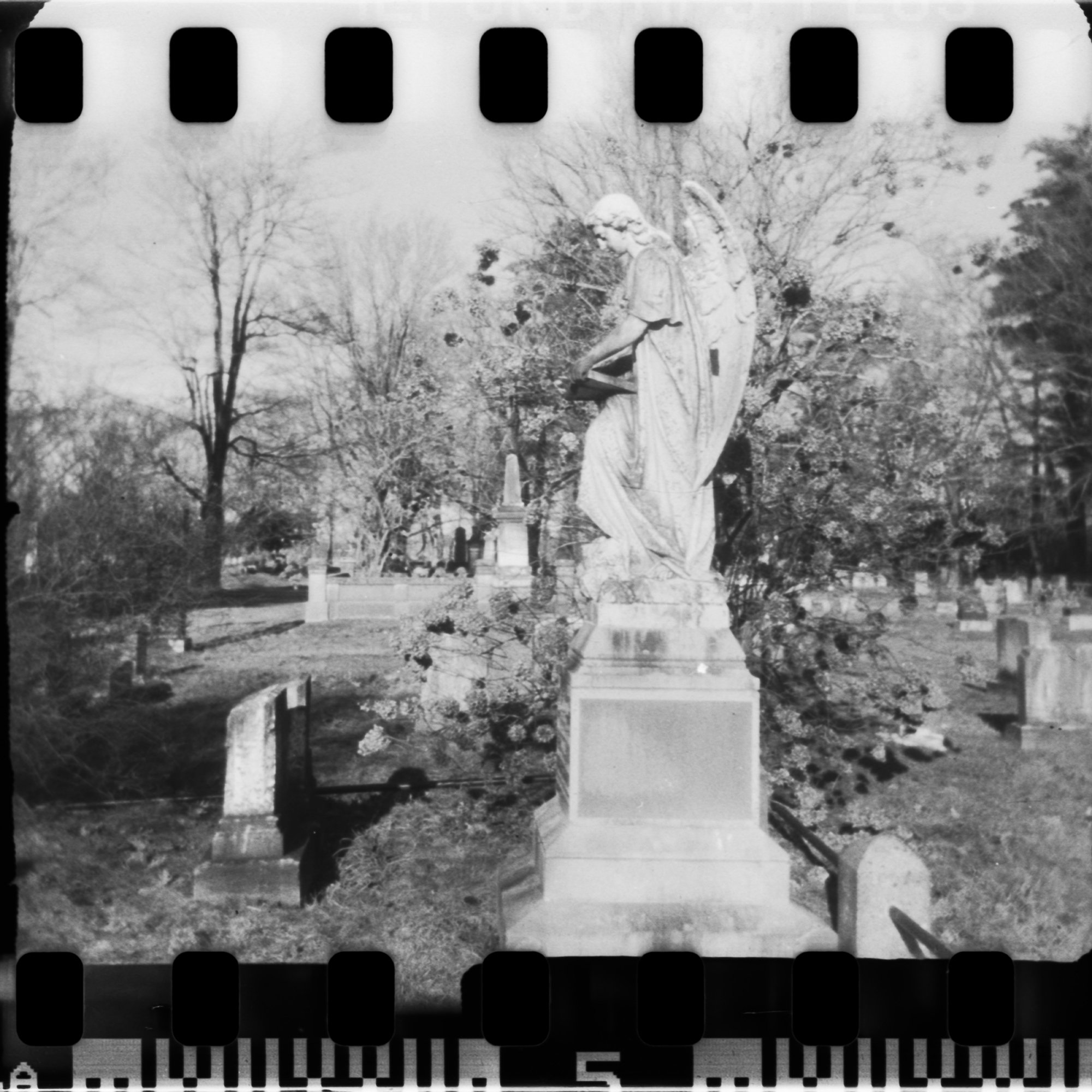 Angel - Evergreen Cemetery