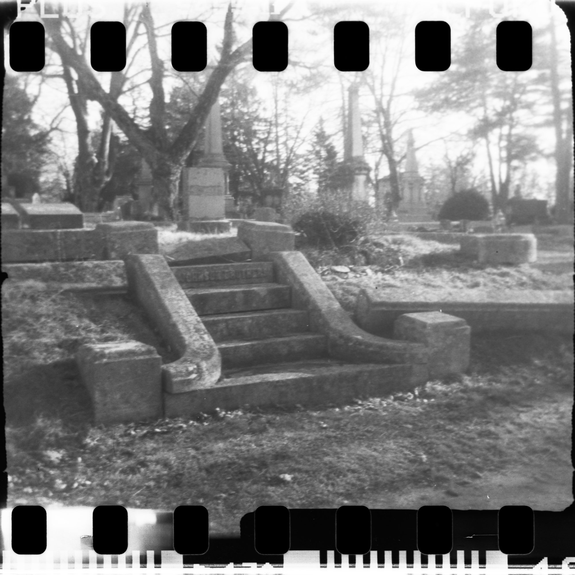 Steps - Evergreen Cemetery
