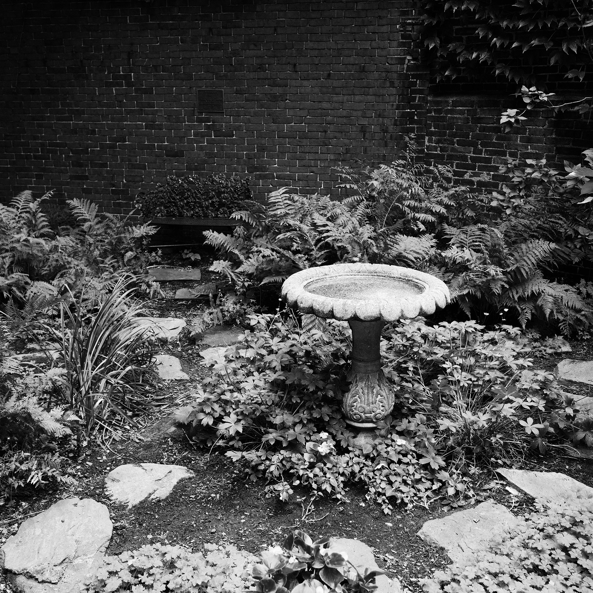 28.  L1010656 - Cropped - BW - Auto Retouch copy - 2000 on Vertical copy.jpg
