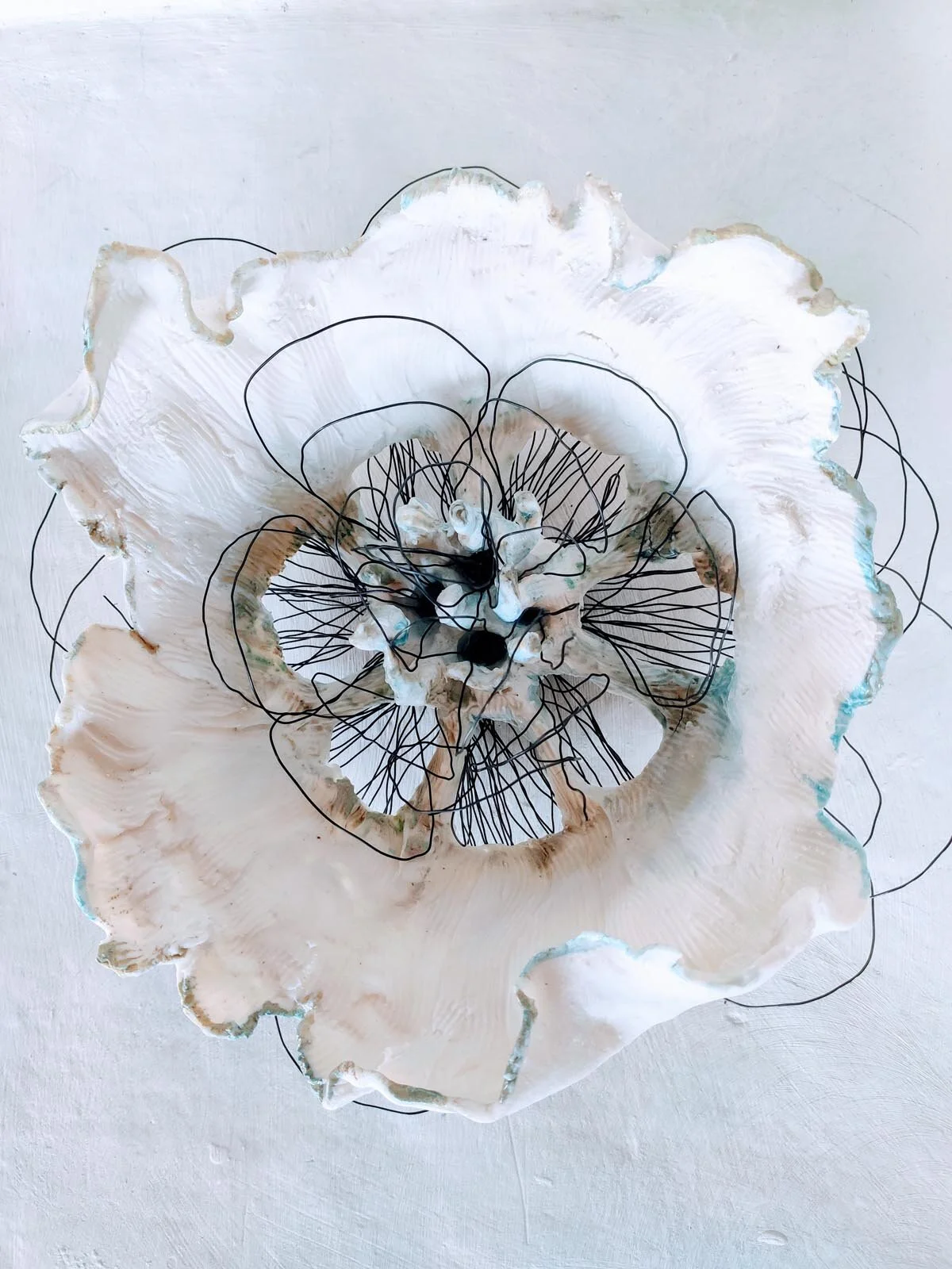   Caroline Laengerer   grown 