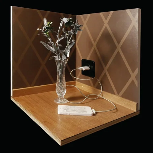   Marco Wyss   Blumen für die Villa 