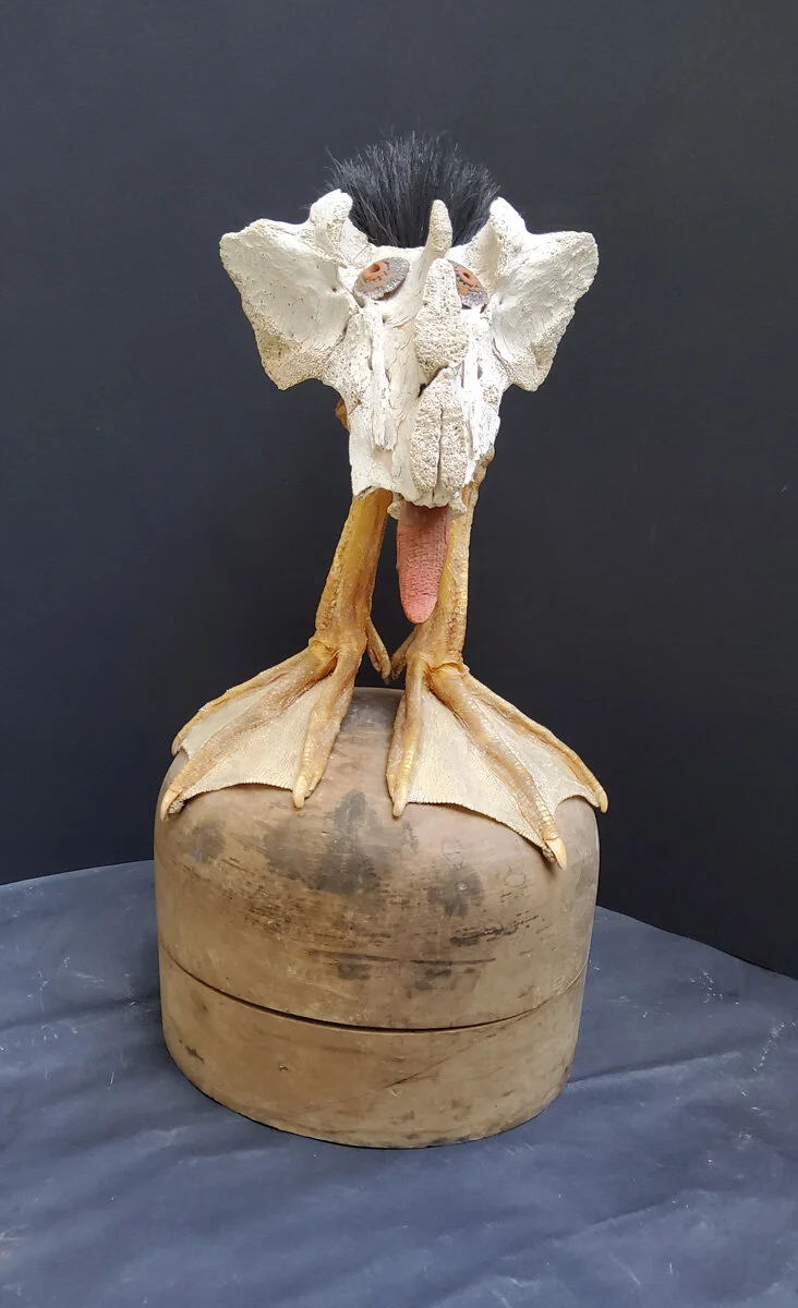   Margaretha Dubach   il Buffone 