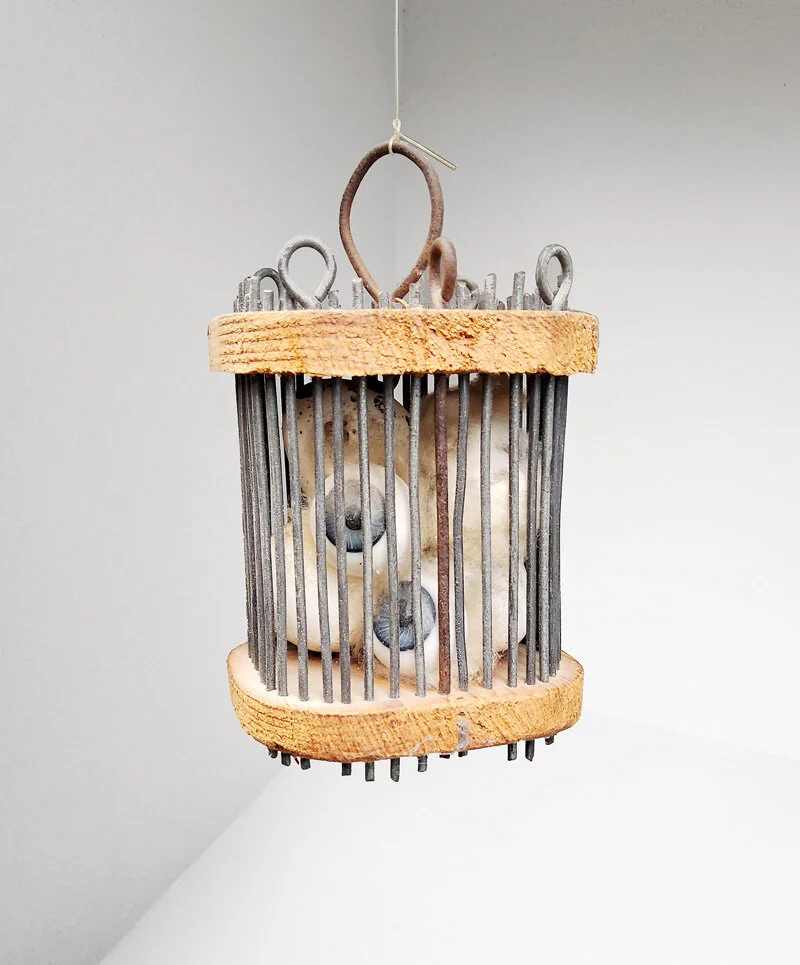   Herbert Distel   Die Geschichte des Auges 