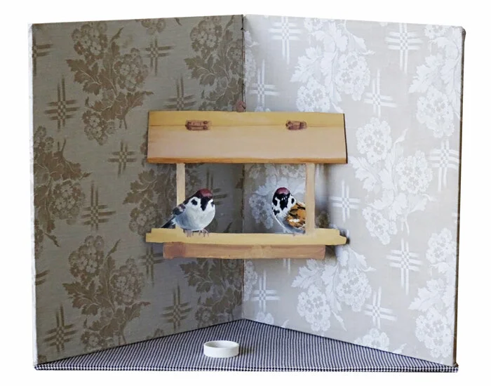   Martin Kaufmann   Passer montanus 