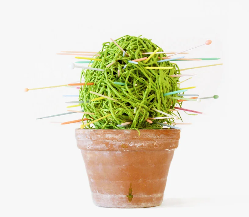   Sonya Friedrich   Kaktus 2 