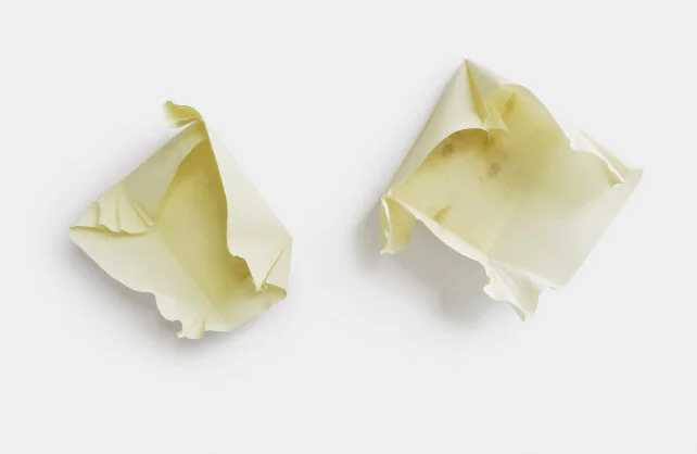   Gabriele Obermaier   Entfaltung 1 + 2 