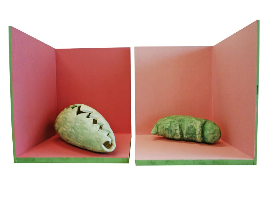   Hilde Seyboth   Metamorphosen 