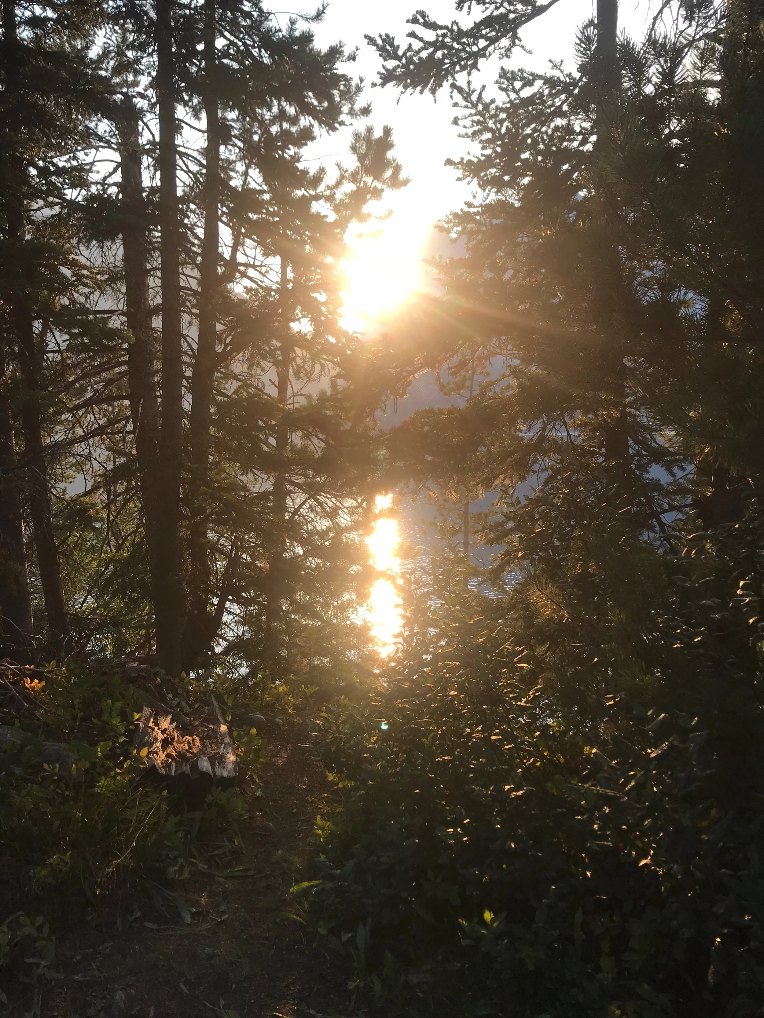taken on a cold, late-autumn morning by Jenny Lake, Grand Teton Ntl. Park.