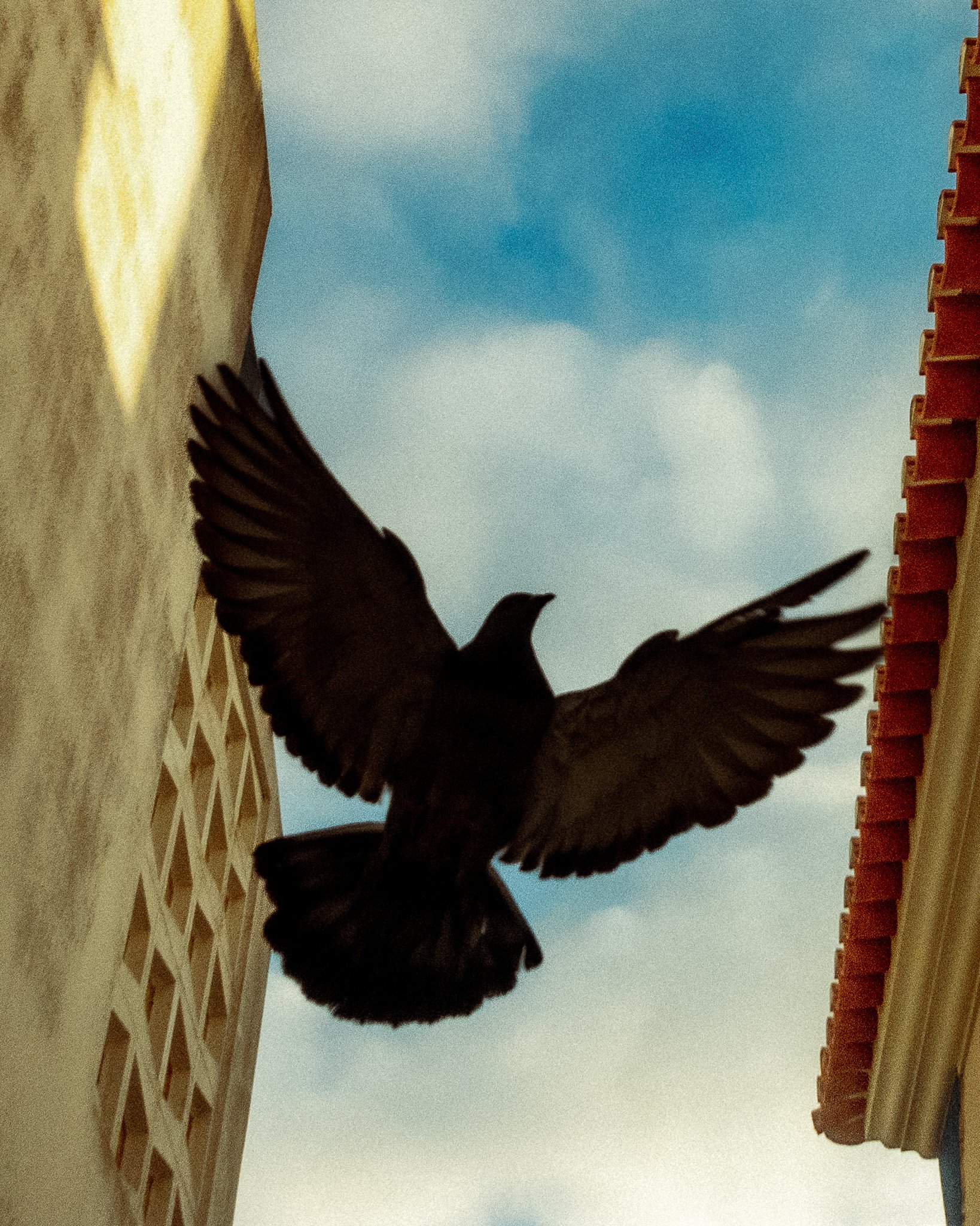 Mindfulness In Motion