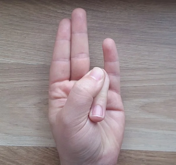 surya-mudra.jpg