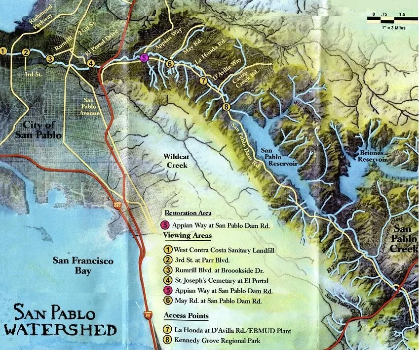 SAN PABLO WATERSHED089.jpg