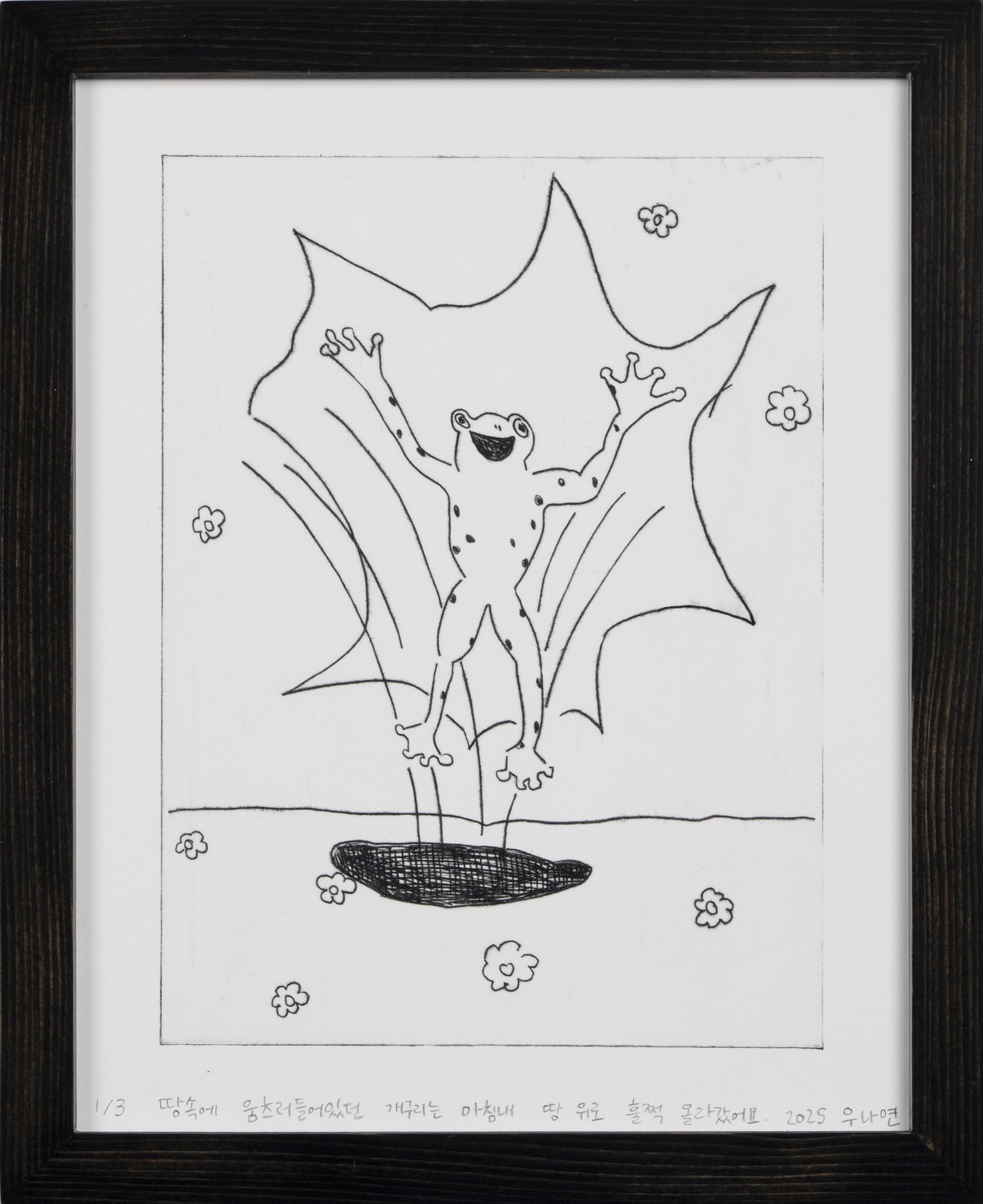 Spring Frog (2025)