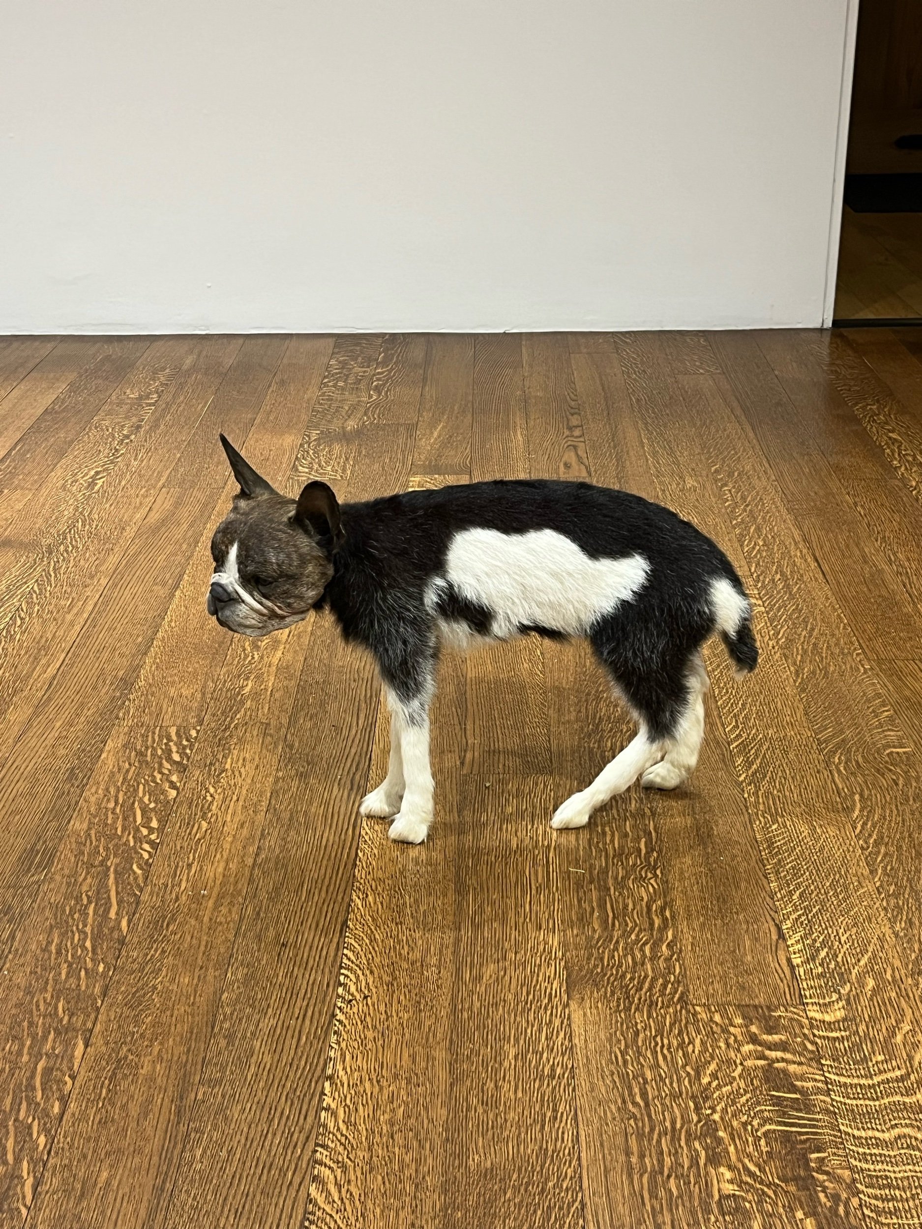  thomas grünfeld at a hug from the art world gallery 