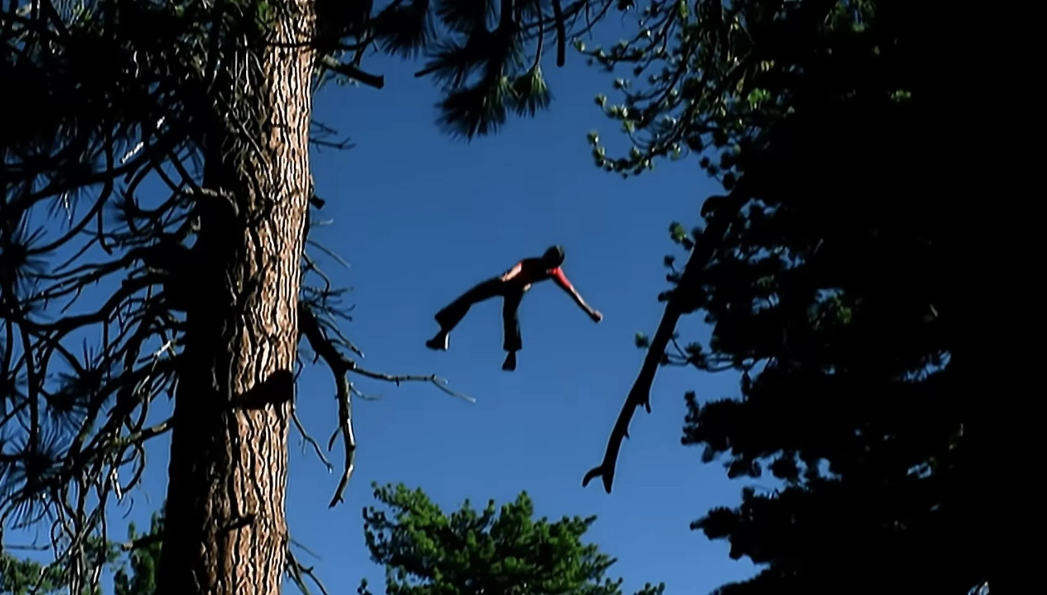  nelly furtado, im like a bird music video 