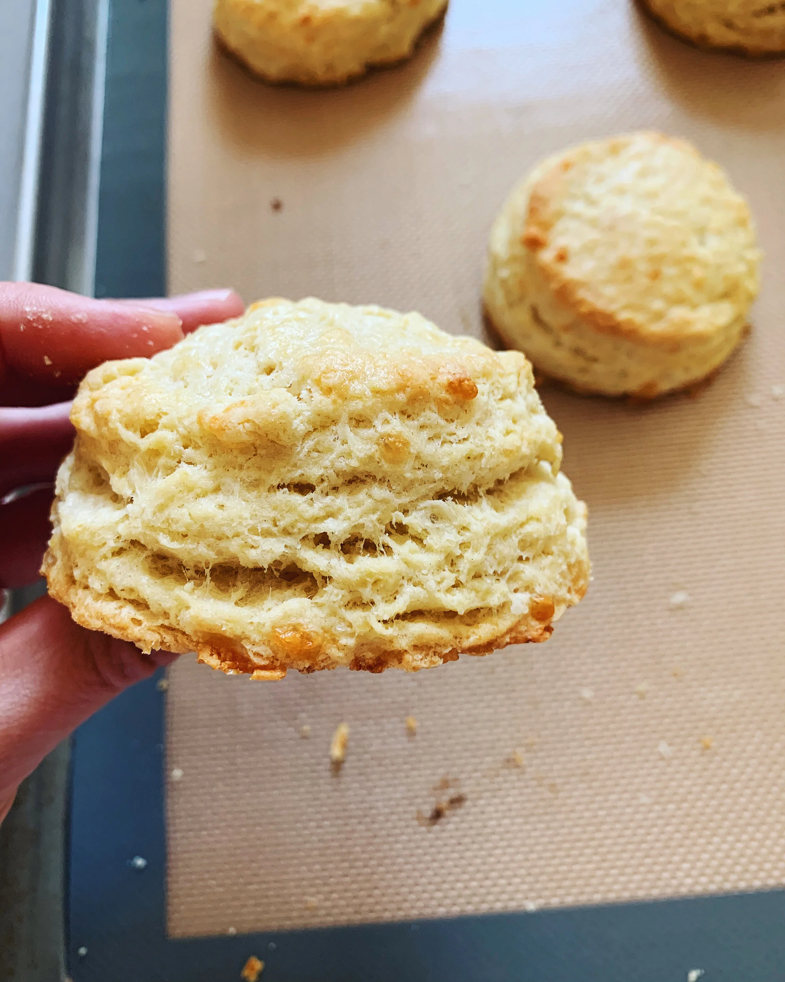 ANYTHING GOES SCONES