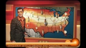 Tanqueray Sevilla Orange-Joe Jonas