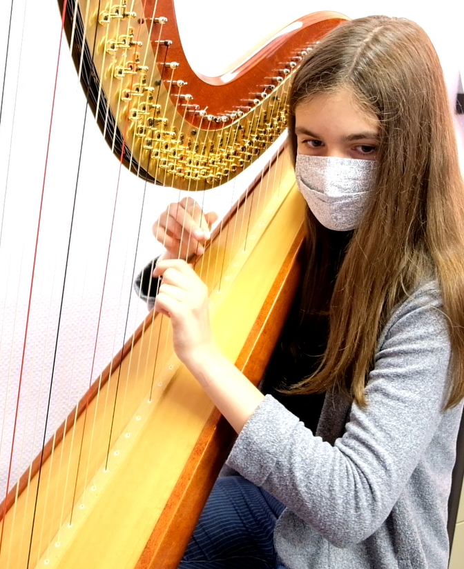 Virtuell Auditiounen - N° 53 - Bonjour Monsieur Rameau