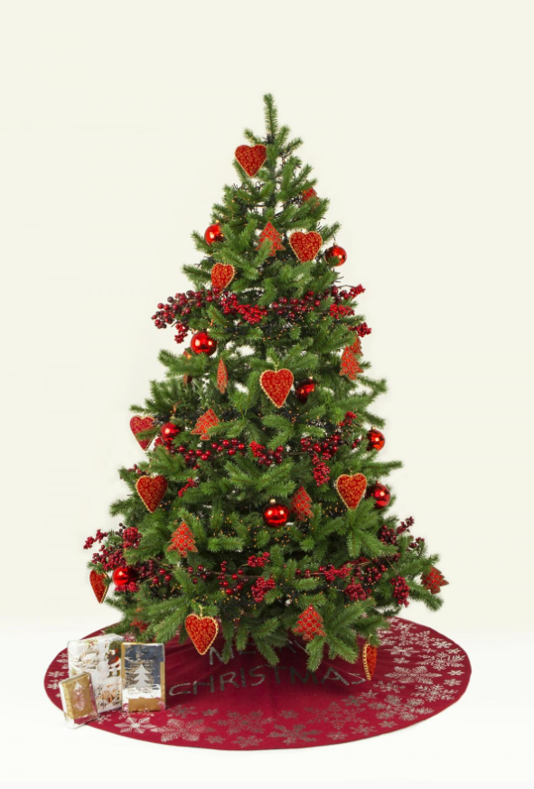 We wish you a Merry Christmas