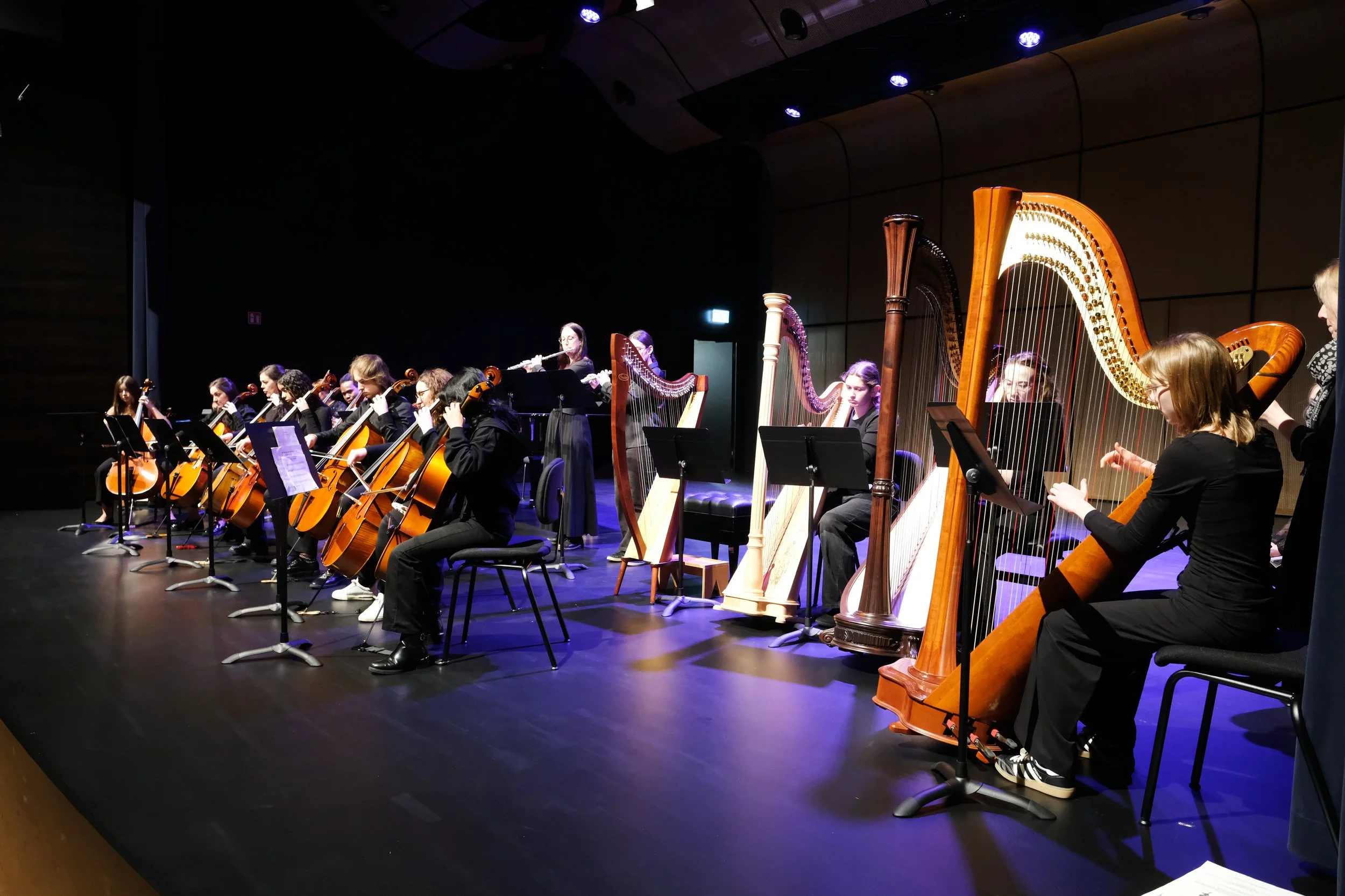 Billergallerie - Audition de harpe &amp; violoncelle 13/12/2025