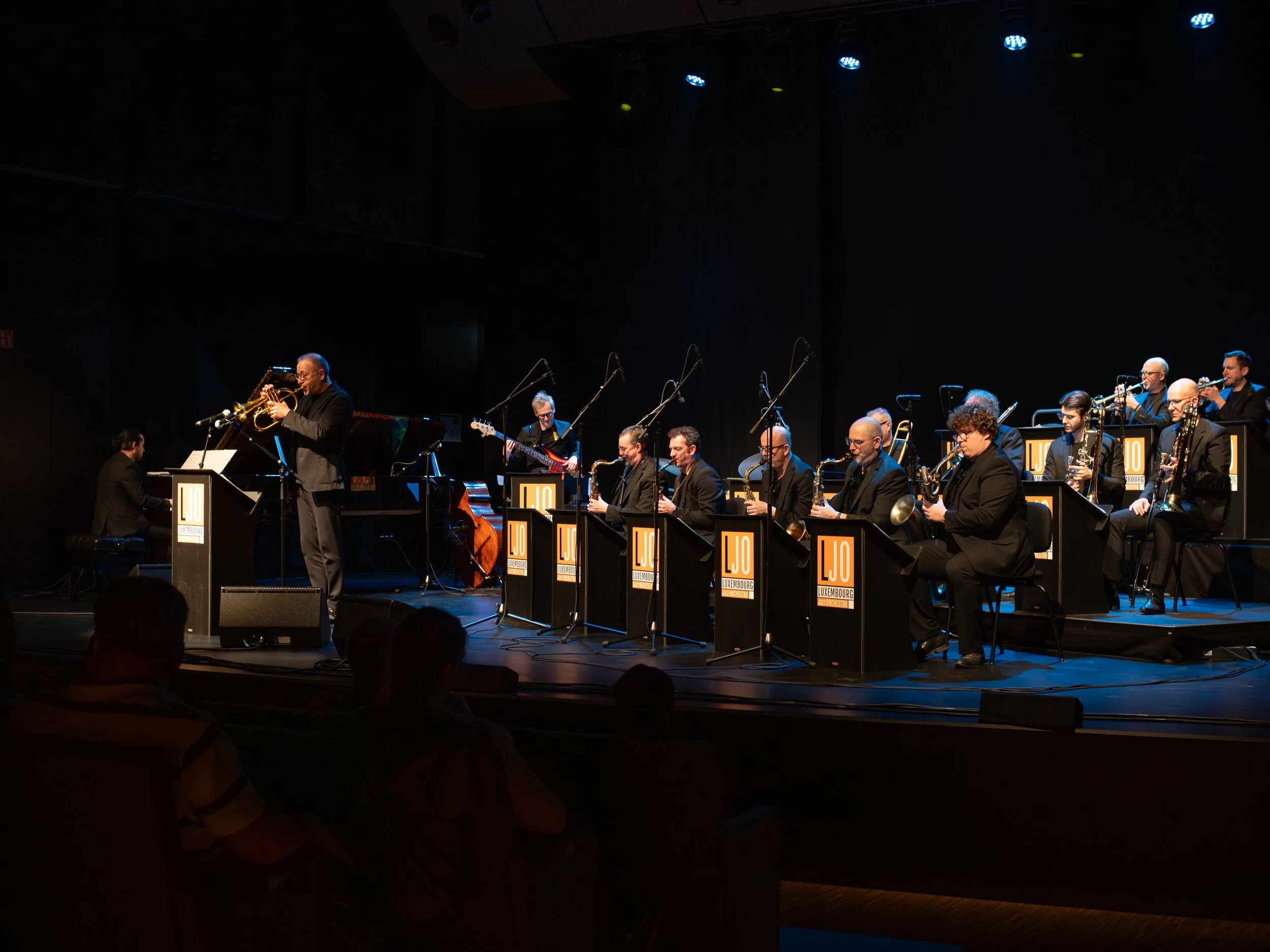 P3080431-Avec accentuation-Bruit.jpg