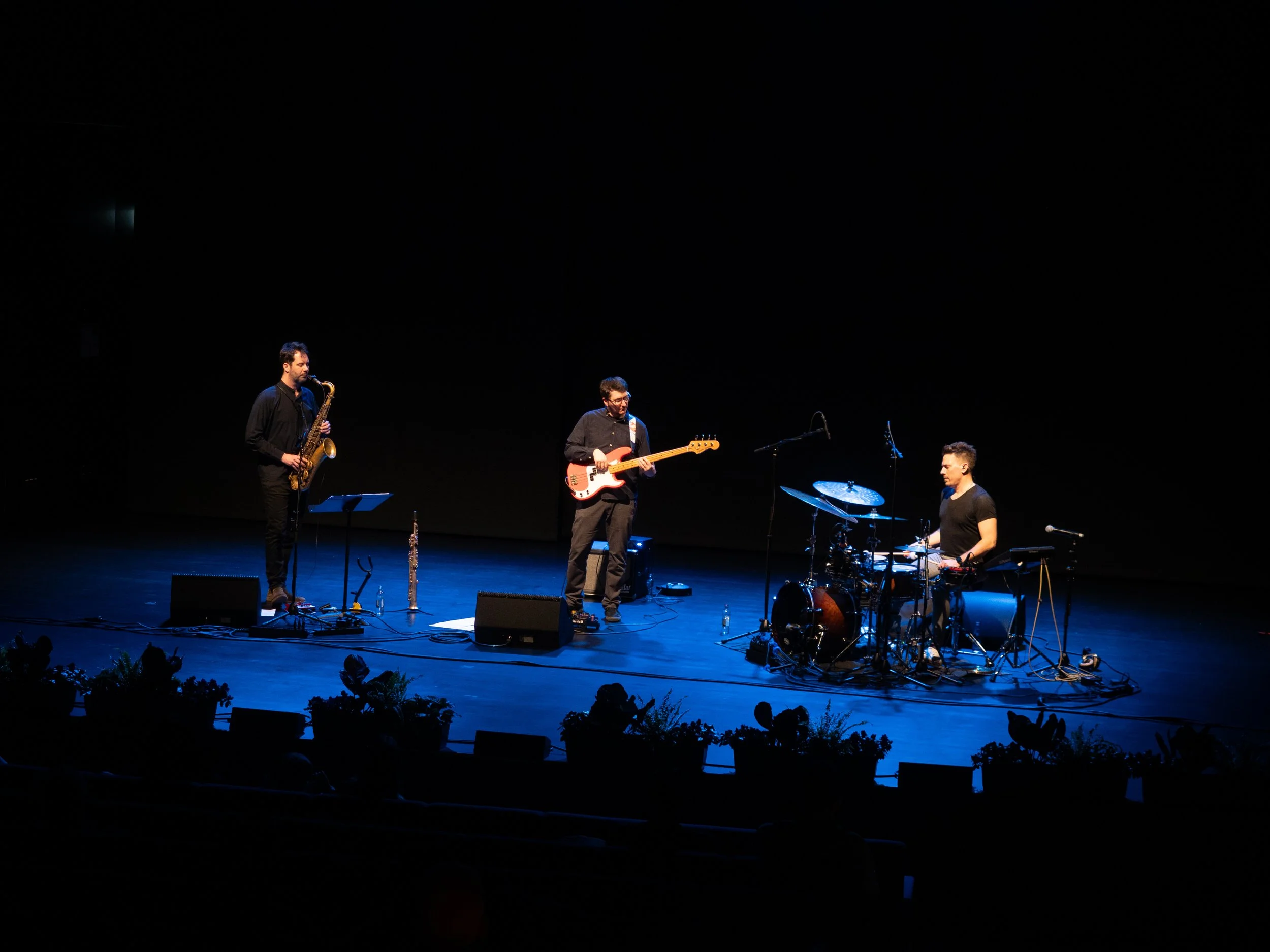 P3140877.jpg