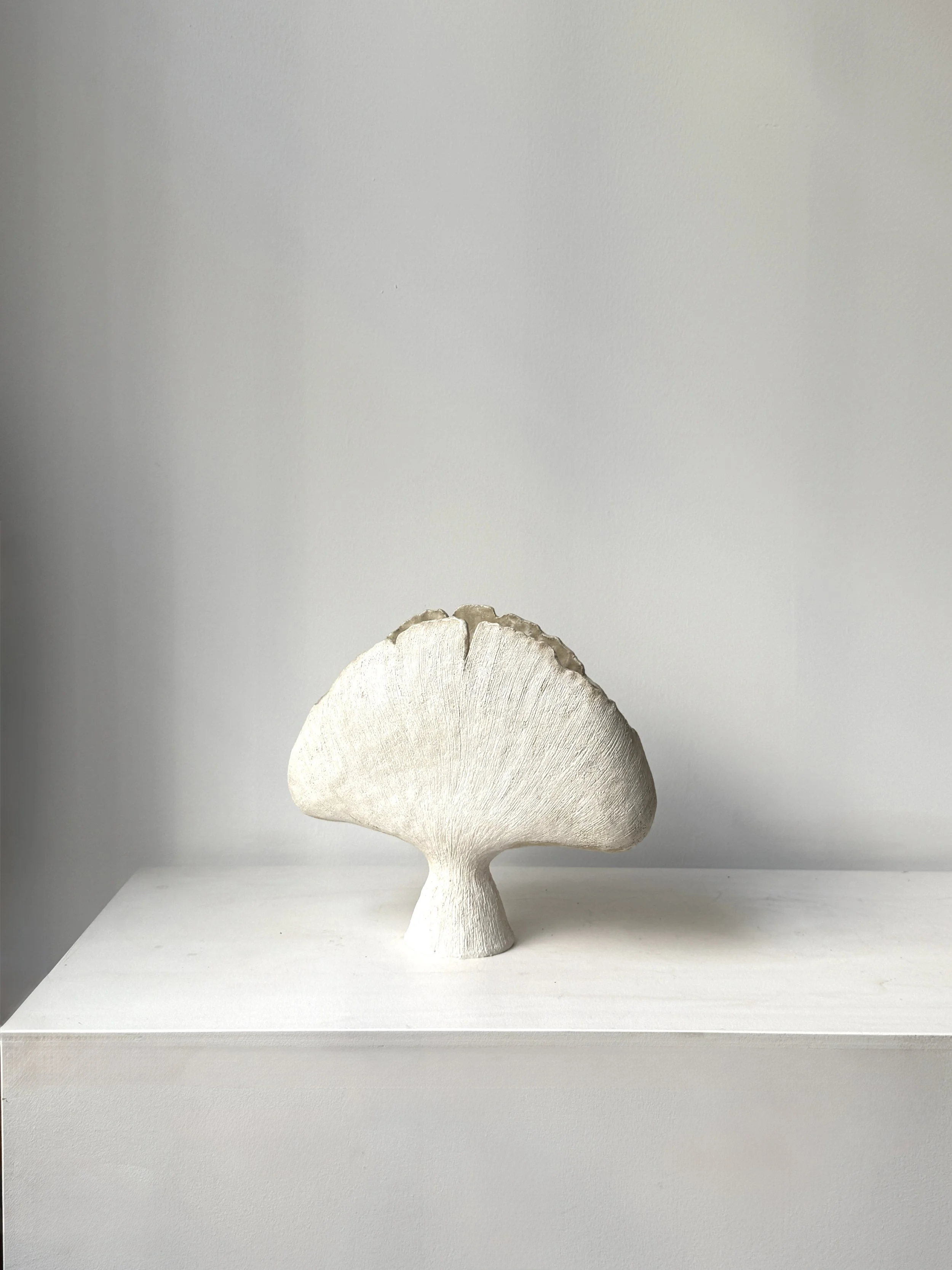 the gingko in white.jpg