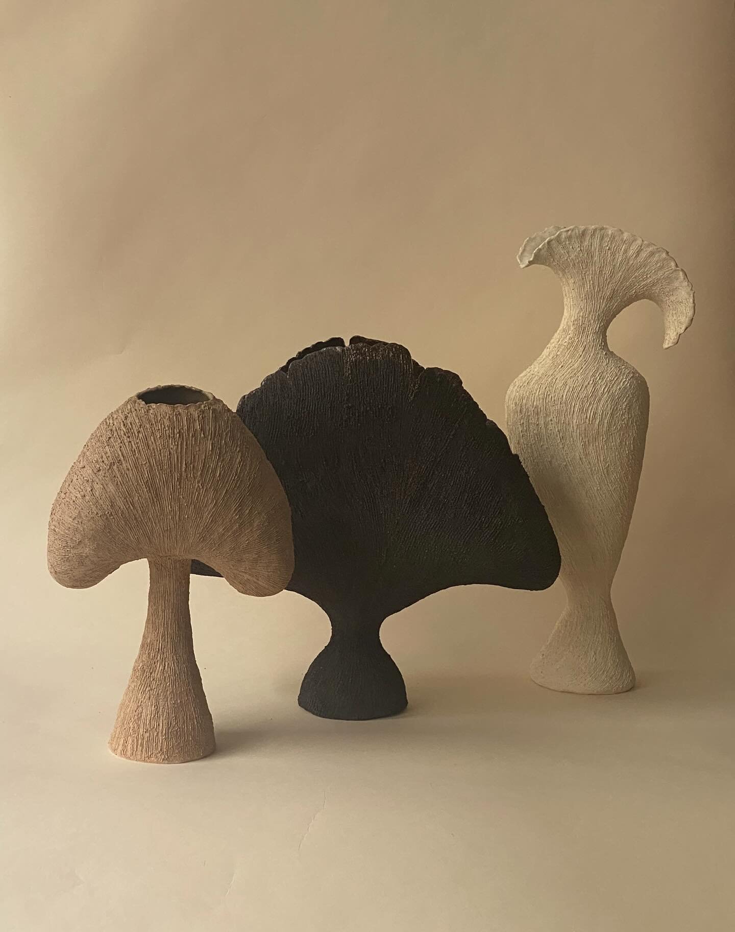 the new botanicals 🤎
~ the ginkgo, chanterelle, maple, floret &amp; shroom 🤎

#inthestudio #sculpturalceramics #handbuilt #taniawhalenceramics
#handbuiltceramics 
#sculpturalvessels
.
.
.
.
.
#studioceramics #art #womeninceramics #interiordesign  #
