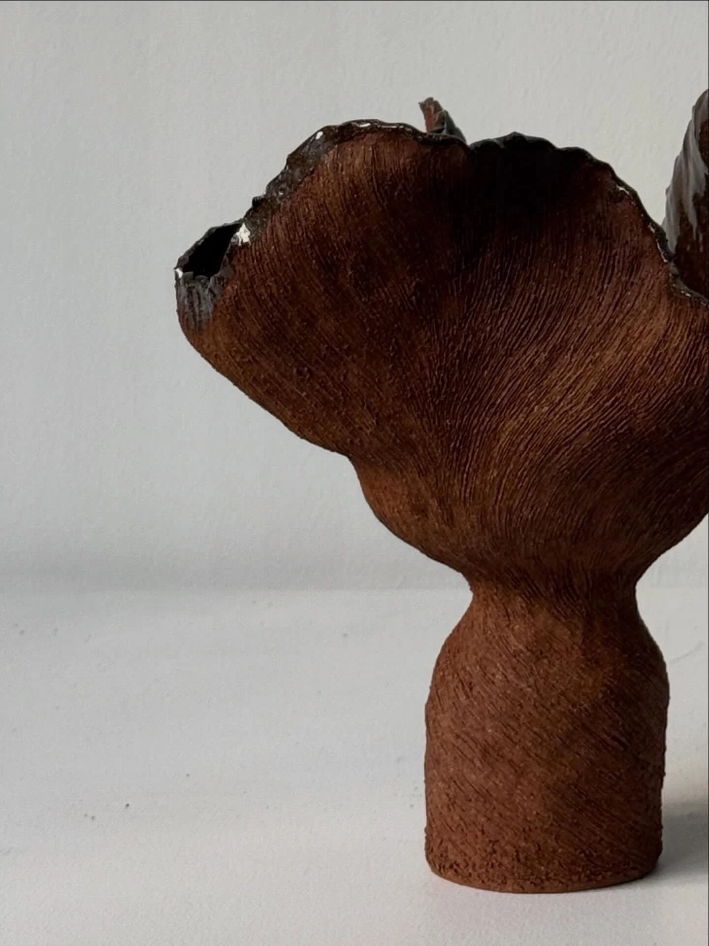 still a favorite clay body 🤎
some current shapes..
studio 🥀
.
.
.
.
.

#inthestudio
#sculpturalceramics #handbuilt #taniawhalenceramics